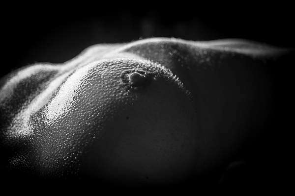 Bodyscape3